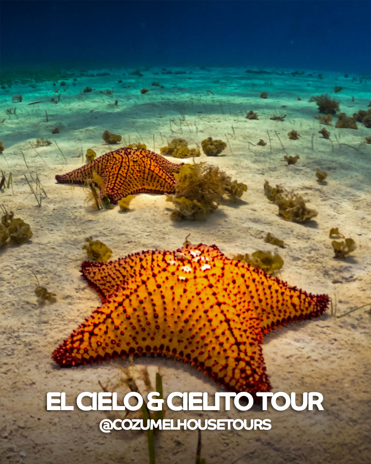 el cielo y cielito tour 2 recuperado