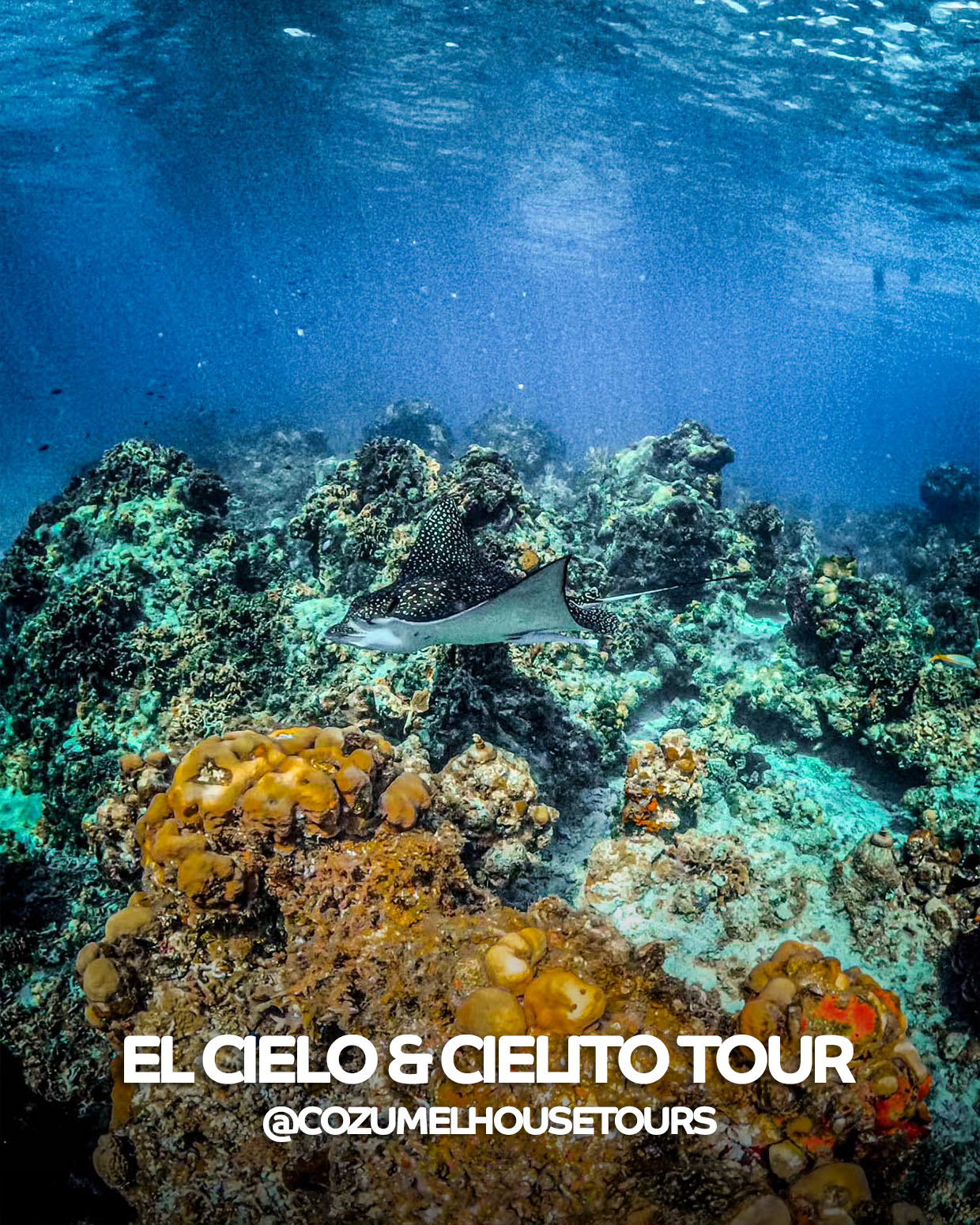 el cielo y cielito tour 24