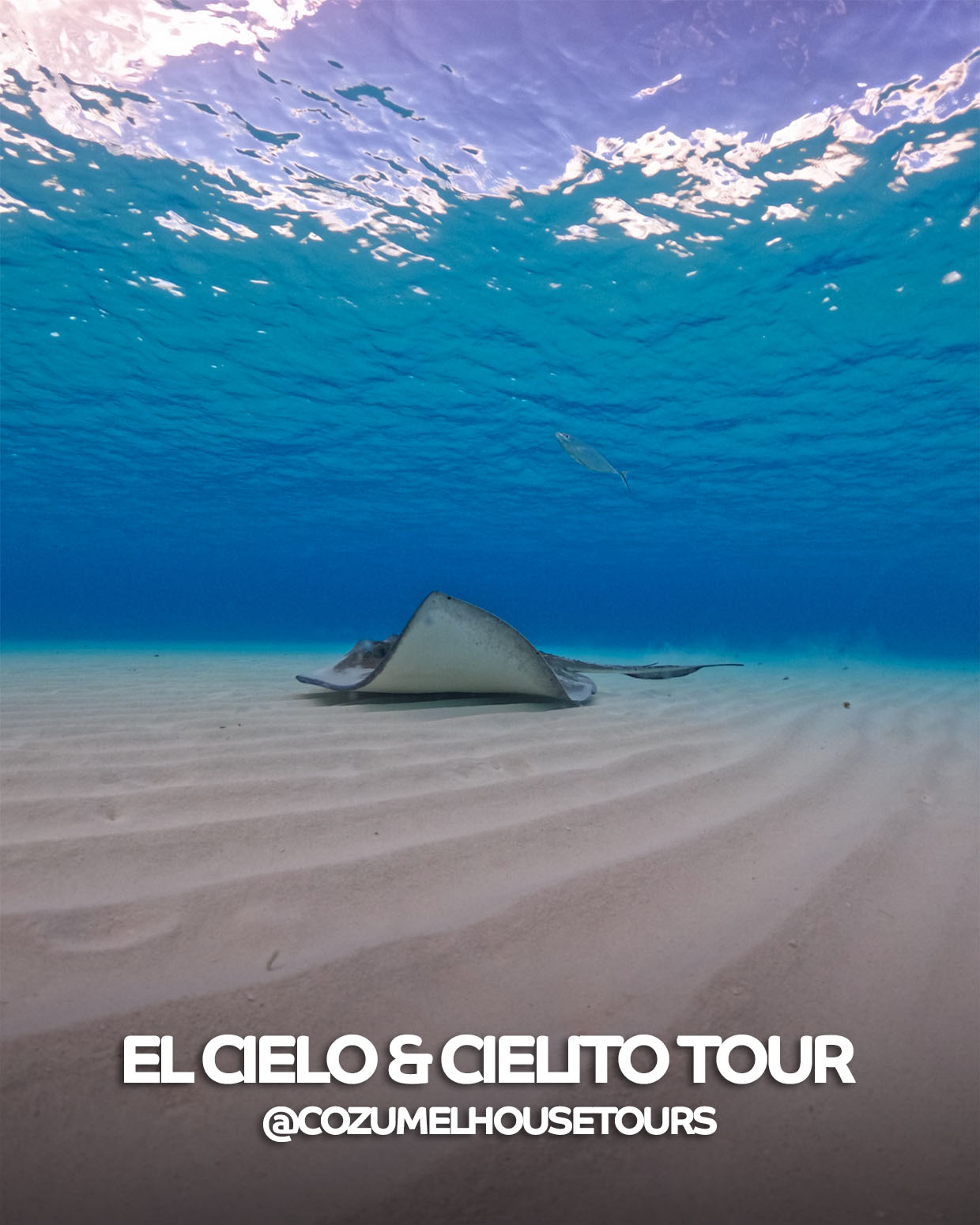 el cielo y cielito tour
